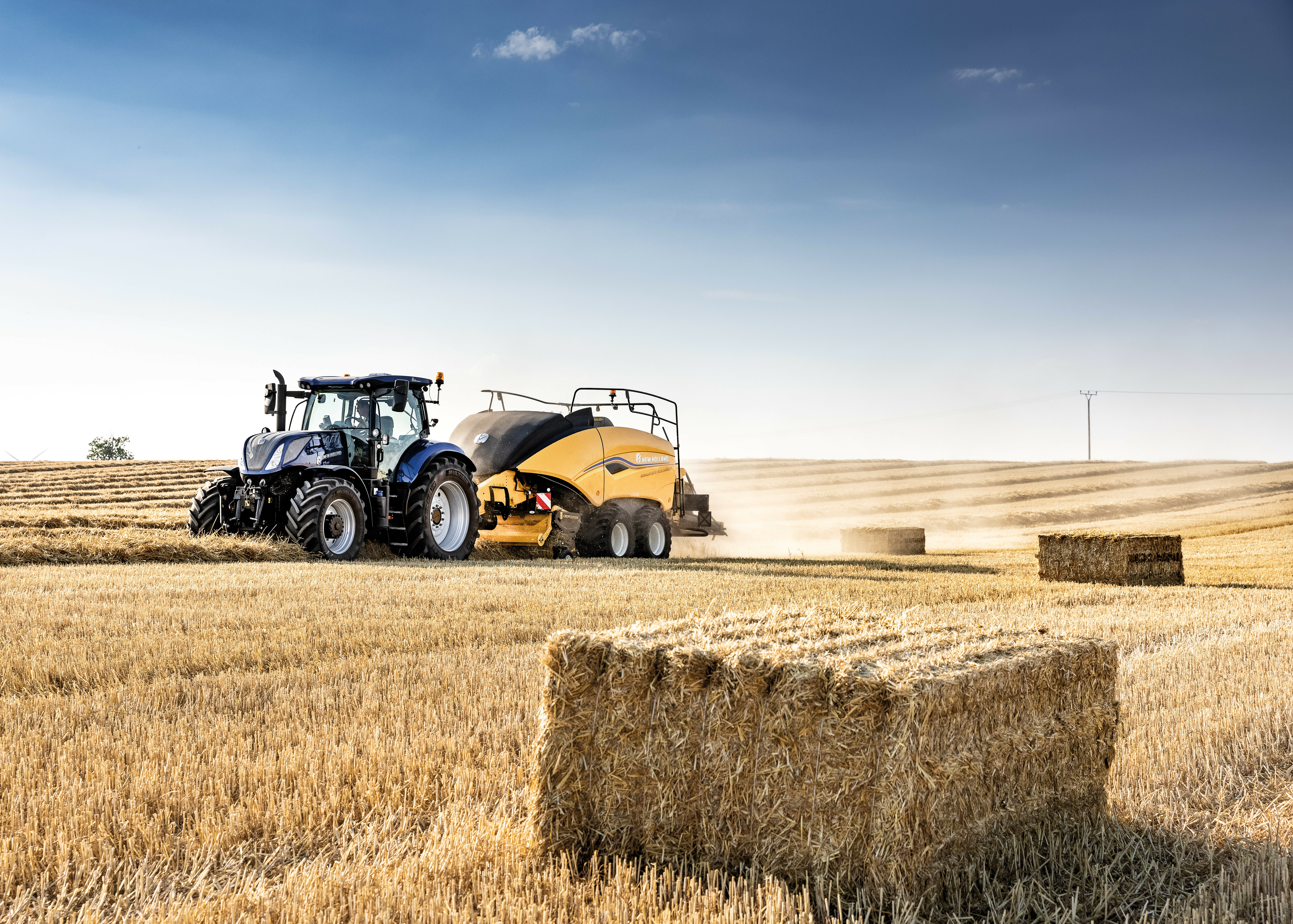 BB 1270 Plus Density 22 207