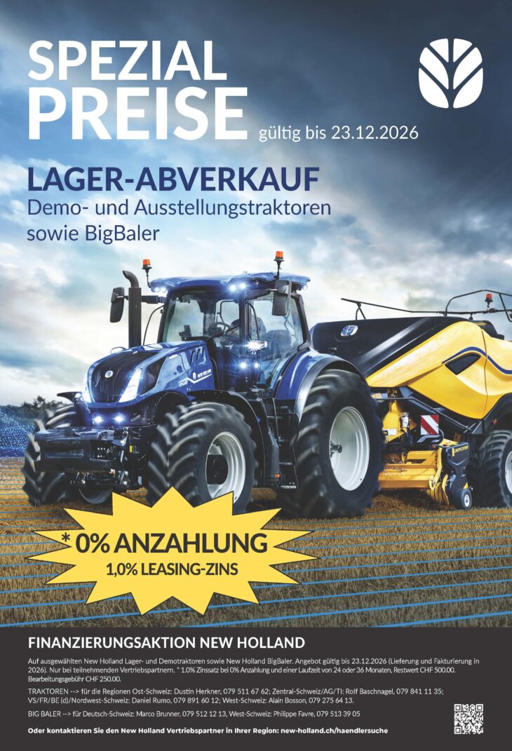 Flyer Leasingaktion Abverkauf Lager BB stern