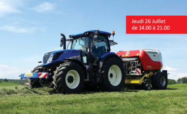 Bild Grandjean