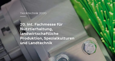 Teaser Vorne1